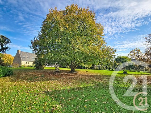 maison à vendre - 6 pièces - 165.0 m2 - PLOUER SUR RANCE - 22 - BRETAGNE - Century 21 Fauvel Immobilier